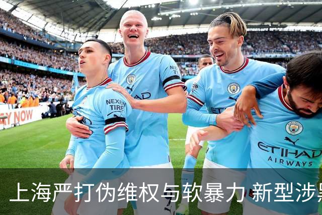 上海严打伪维权与软暴力 新型涉黑犯罪被端