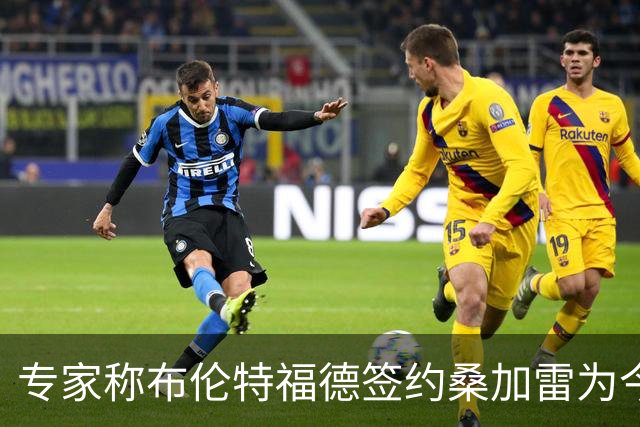 专家称布伦特福德签约桑加雷为今夏最佳，引领未来价值飙升