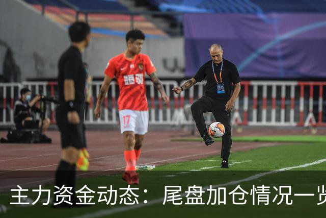 主力资金动态：尾盘加仓情况一览