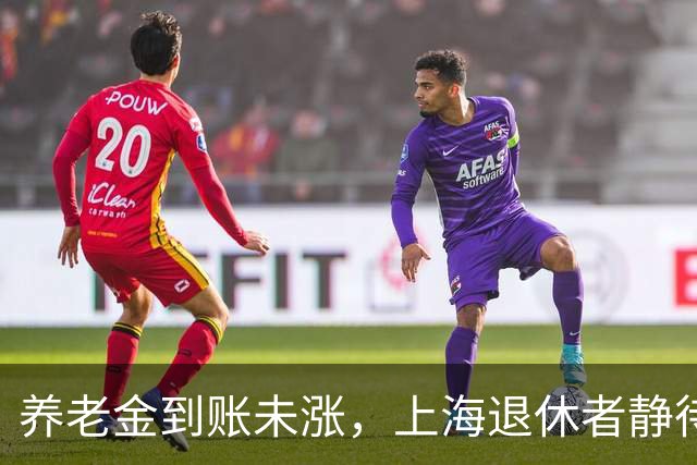 养老金到账未涨，上海退休者静待补发