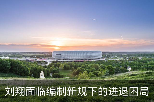 刘翔面临编制新规下的进退困局