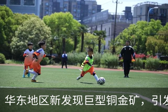 华东地区新发现巨型铜金矿，引发行业瞩目