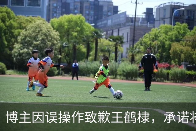 博主因误操作致歉王鹤棣，承诺将严格自律