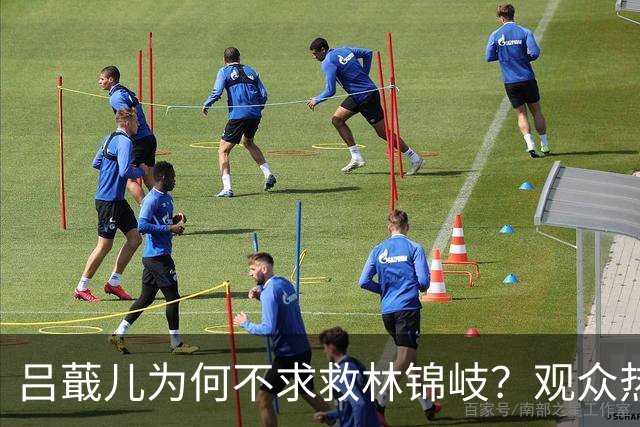 吕蕺儿为何不求救林锦岐？观众热议引发讨论