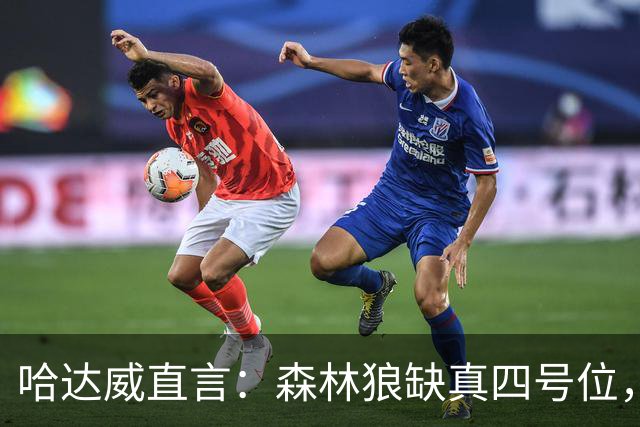 哈达威直言：森林狼缺真四号位，篮板成大问题