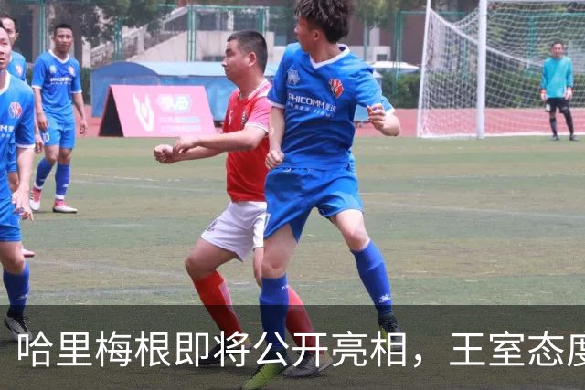 哈里梅根即将公开亮相，王室态度明确