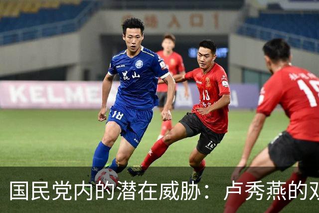国民党内的潜在威胁：卢秀燕的双重身份分析