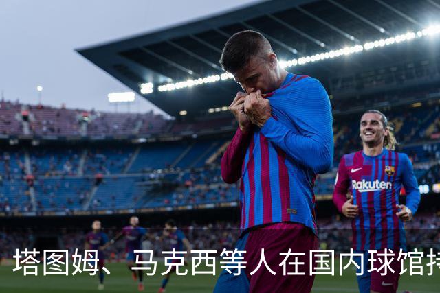 塔图姆、马克西等人在国内球馆持续训练