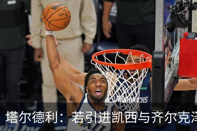 塔尔德利：若引进凯西与齐尔克泽，尤文有争冠实力