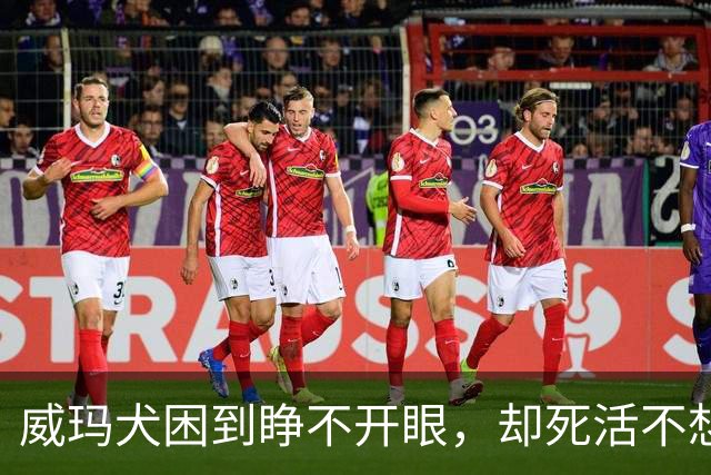 威玛犬困到睁不开眼，却死活不想睡觉，主人忍俊不禁！