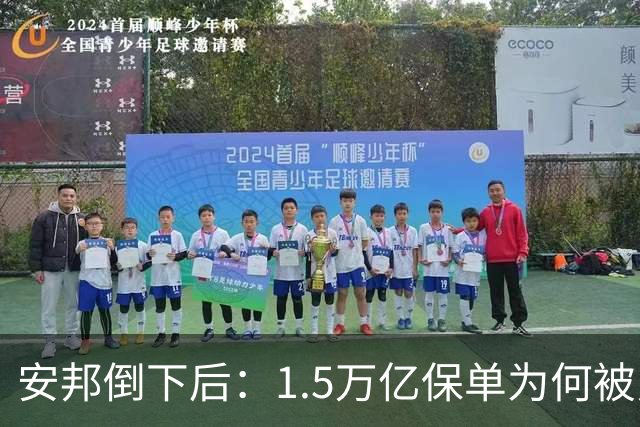 安邦倒下后：1.5万亿保单为何被兑付，代价在哪里