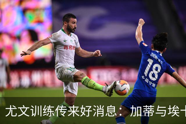 尤文训练传来好消息：加蒂与埃卡托回归阵容