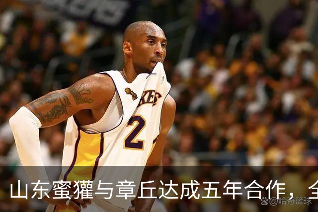 山东蜜獾与章丘达成五年合作，全力冲击CBA