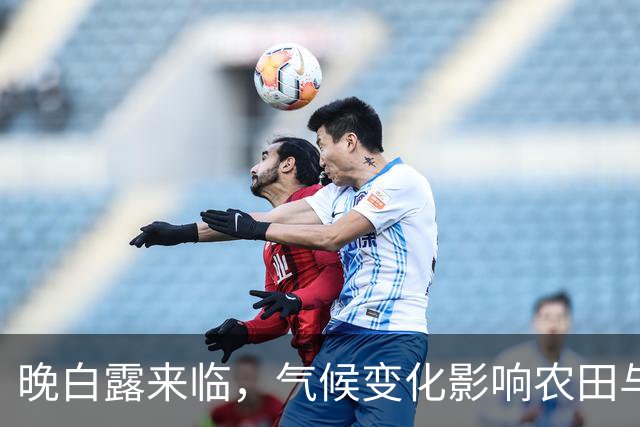晚白露来临，气候变化影响农田与健康