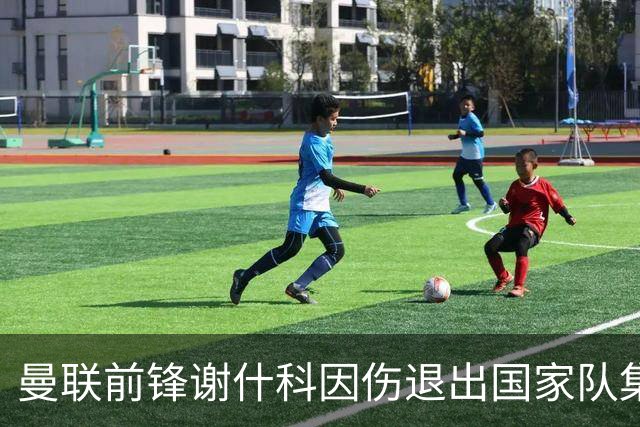 曼联前锋谢什科因伤退出国家队集训