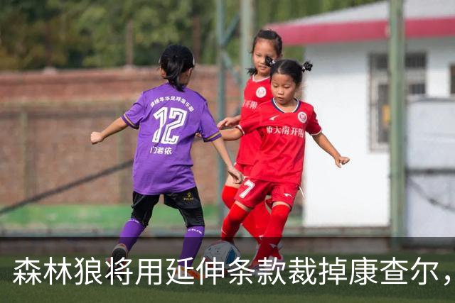 森林狼将用延伸条款裁掉康查尔，为签库明加腾出空间