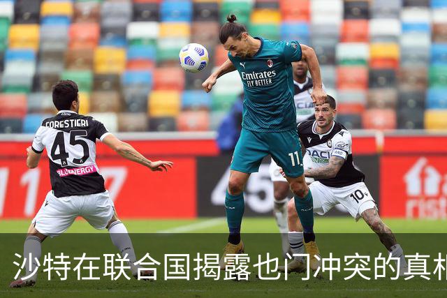 沙特在联合国揭露也门冲突的真相：暗中的武器供应