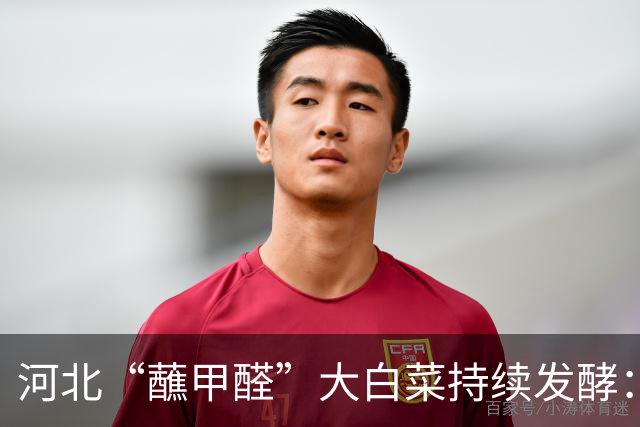 河北“蘸甲醛”大白菜持续发酵：第三车被扣，监管扩查