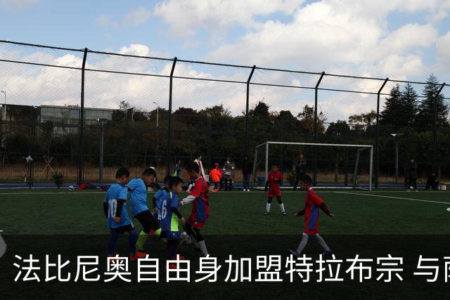 法比尼奥自由身加盟特拉布宗 与萨拉赫再度联手