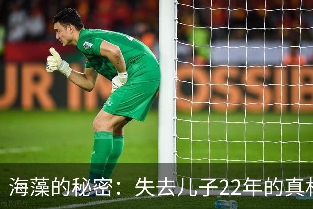 海藻的秘密：失去儿子22年的真相