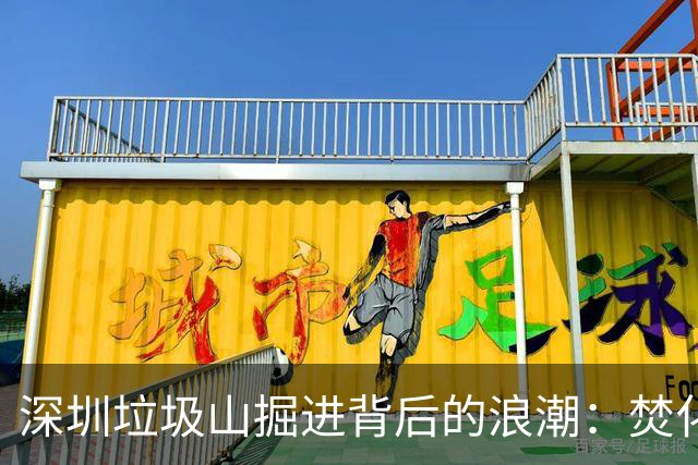 深圳垃圾山掘进背后的浪潮：焚化厂面临“垃圾荒