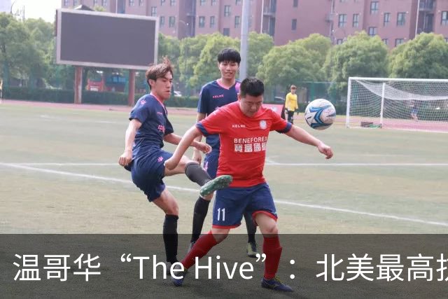 温哥华“The Hive”：北美最高抗震木构办公楼