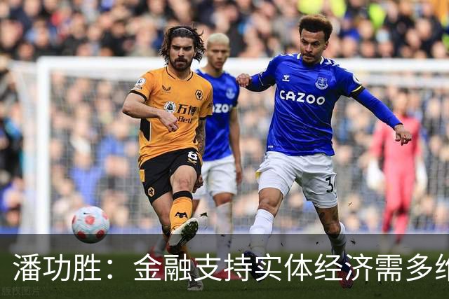 潘功胜：金融支持实体经济需多维度评估