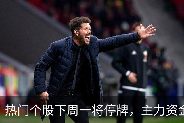 热门个股下周一将停牌，主力资金流入情况分析