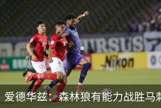 爱德华兹：森林狼有能力战胜马刺和雷霆