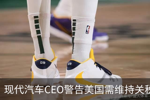 现代汽车CEO警告美国需维持关税以防中国车涌入