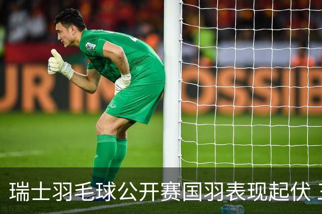 瑞士羽毛球公开赛国羽表现起伏 三对组合晋级16强