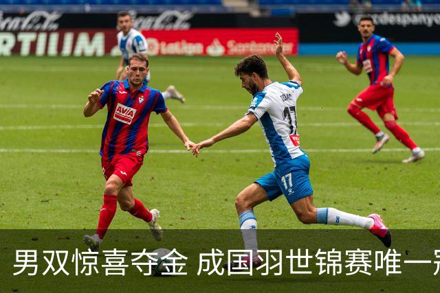 男双惊喜夺金 成国羽世锦赛唯一冠军