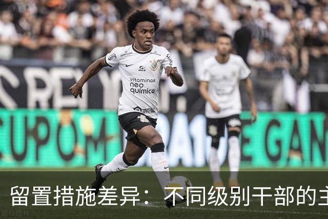 留置措施差异：不同级别干部的主要区别