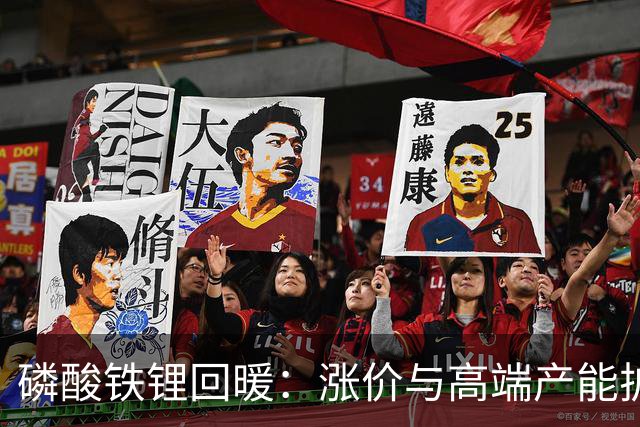 磷酸铁锂回暖：涨价与高端产能扩张加速
