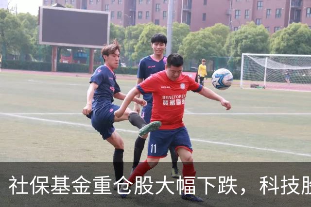 社保基金重仓股大幅下跌，科技股成重灾区