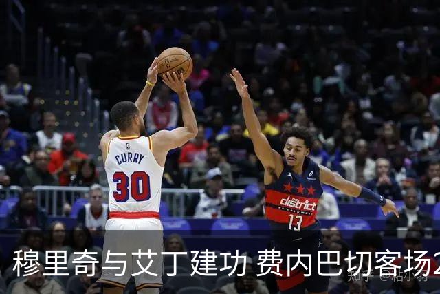 穆里奇与艾丁建功 费内巴切客场2-0获胜