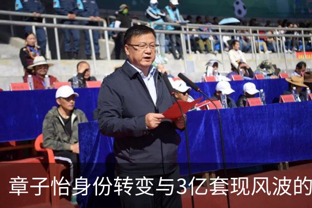 章子怡身份转变与3亿套现风波的真相揭秘