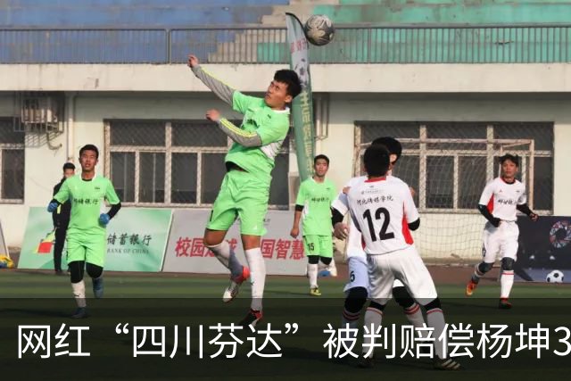 网红“四川芬达”被判赔偿杨坤31.5万，承诺全额捐款