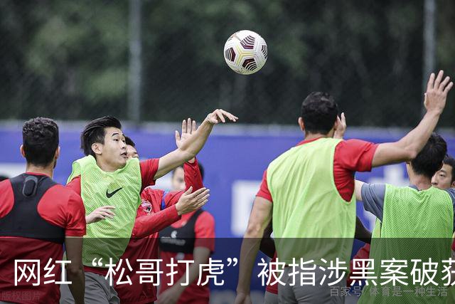 网红“松哥打虎”被指涉黑案破获，20余人被抓