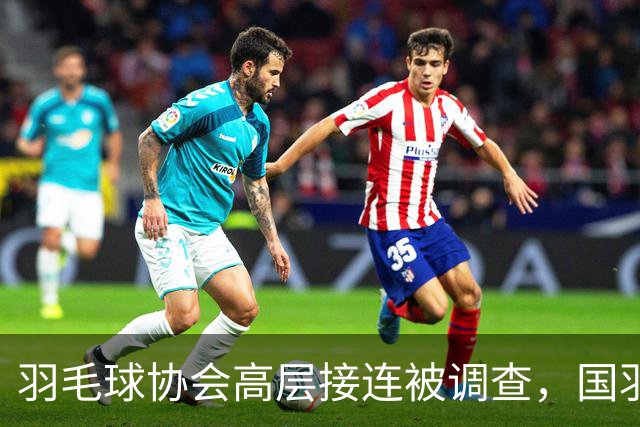 羽毛球协会高层接连被调查，国羽面临变革时刻