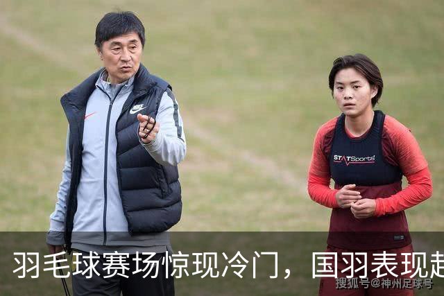 羽毛球赛场惊现冷门，国羽表现起伏，王祉怡遗憾落败