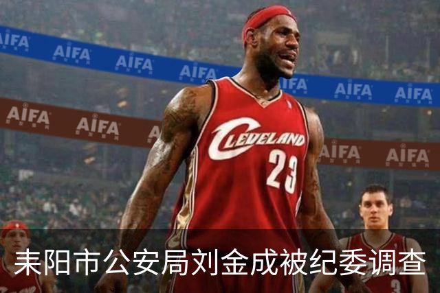 耒阳市公安局刘金成被纪委调查