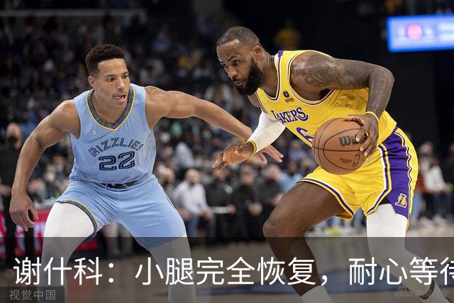谢什科：小腿完全恢复，耐心等待是明智之举