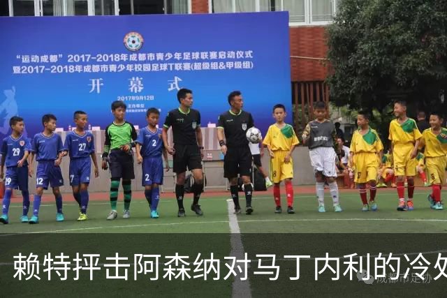 赖特抨击阿森纳对马丁内利的冷处理