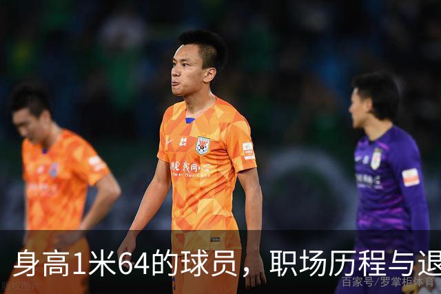 身高1米64的球员，职场历程与退役感悟