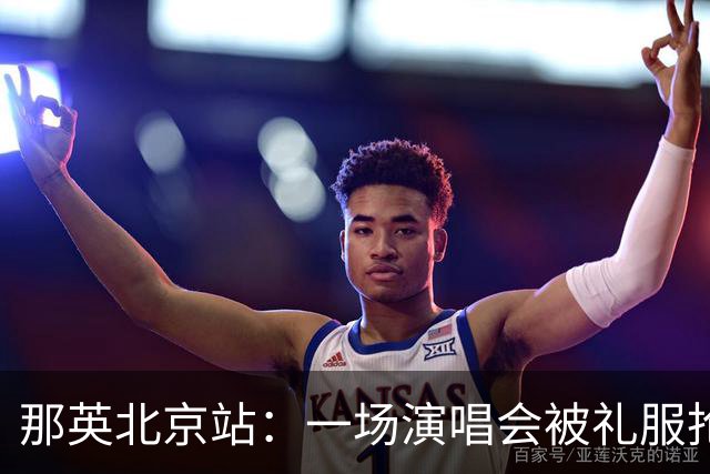 那英北京站：一场演唱会被礼服抢了风头，能赚多少？