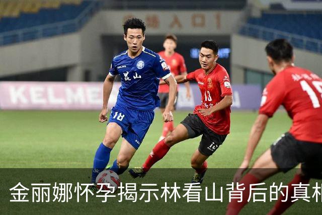金丽娜怀孕揭示林看山背后的真相与阴谋