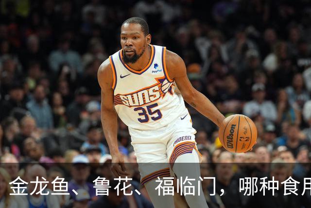 金龙鱼、鲁花、福临门，哪种食用油更靠谱