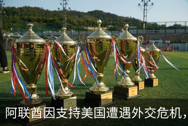 阿联酋因支持美国遭遇外交危机，面临多国不满