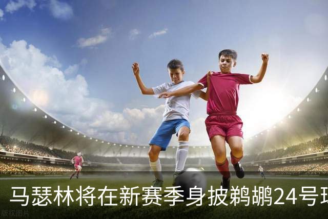 马瑟林将在新赛季身披鹈鹕24号球衣